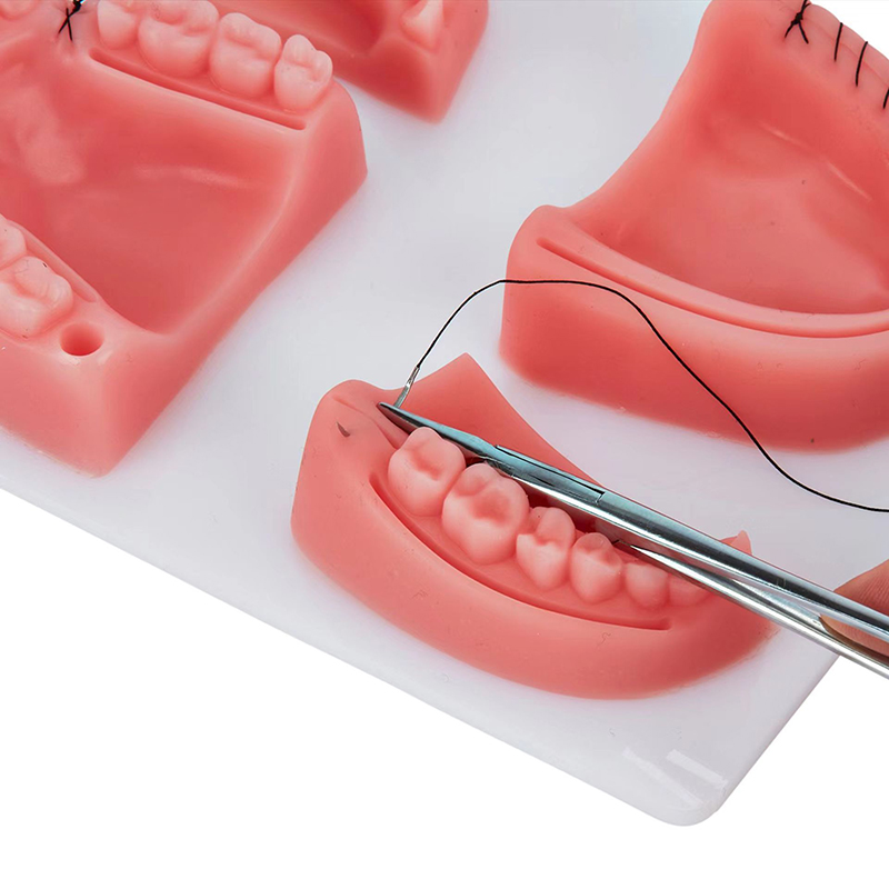 ชุดฝึกหัดเย็บแผลทางทันตกรรม แบ - Medical Lab Kit บทวิจารณ์และราคา